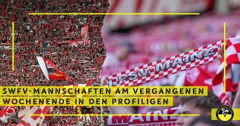 SWFV-Mannschaften in den Profiligen 