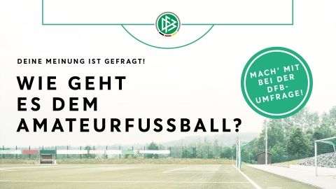 Amateurfußball-Umfrage