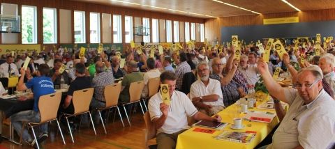 Mitgliederversammlung