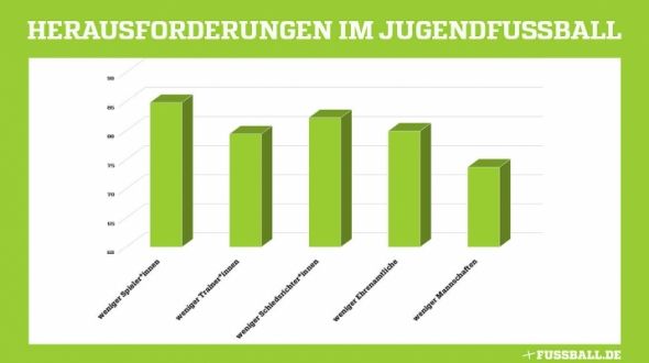 Befragungsergebnis - Diagramm: DFB.DE