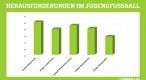 Befragungsergebnis - Diagramm: DFB.DE