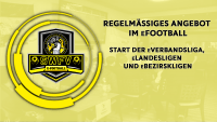 eFOOTBALL-Ligensystem im SWFV
