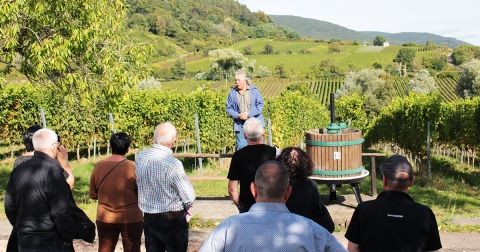 Dankeschön Wochenende in Edenkoben mit einer Weinwanderung
