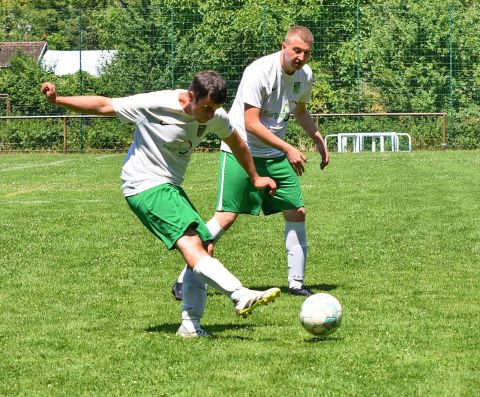 ASV Waldsee