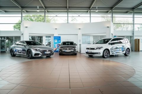 Partner des SWFV: Kooperation mit der Scherer Gruppe Partner des SWFV: Kooperation mit der Scherer Gruppe